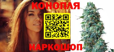 ешки Новозыбков
